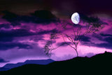 Beautiful Landscape Nature Night Moon Poster