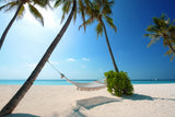 Beautiful Landscape Tropical Beach Ocean Sea Hammock Poster