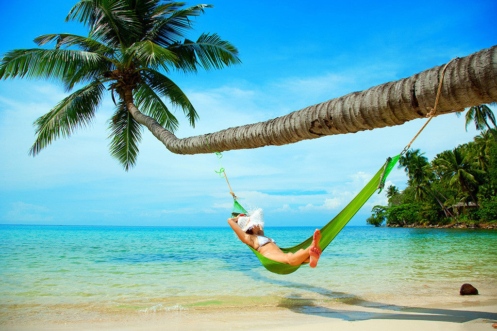 Beautiful Sea Tropical Beach Hammock Palm Tree Poster