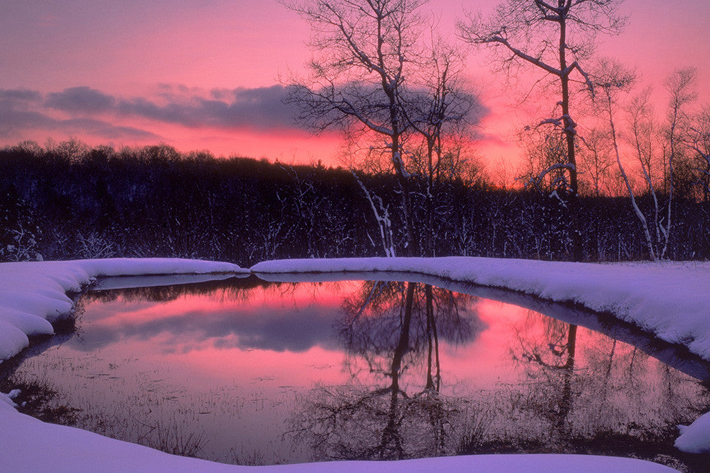 Landscape Nature Lake Forest Winter Sunset Poster
