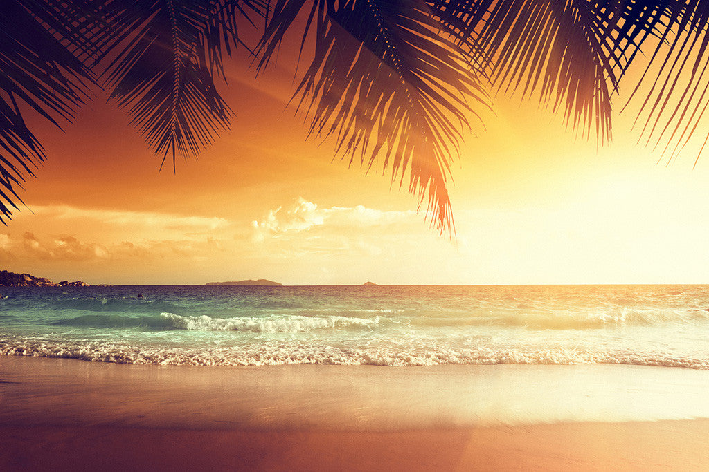 Tropical Beach Palm Trees Ocean Sea Nature Sunset Landscape Poster