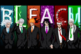 Bleach Characters Anime Poster