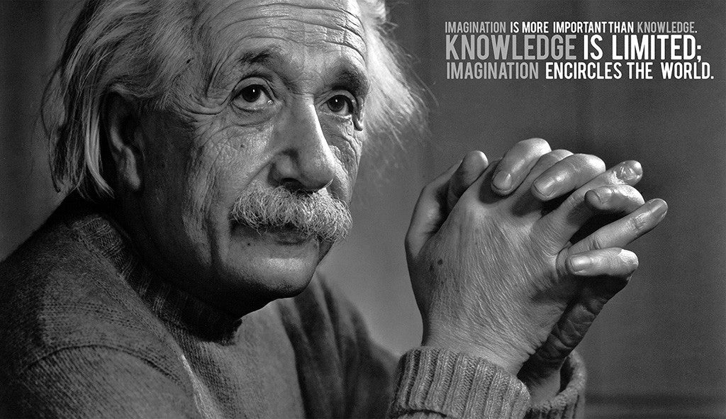 Albert Einstein Motivational Inspirational Poster