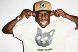 Tyler The Creator Fun Poster