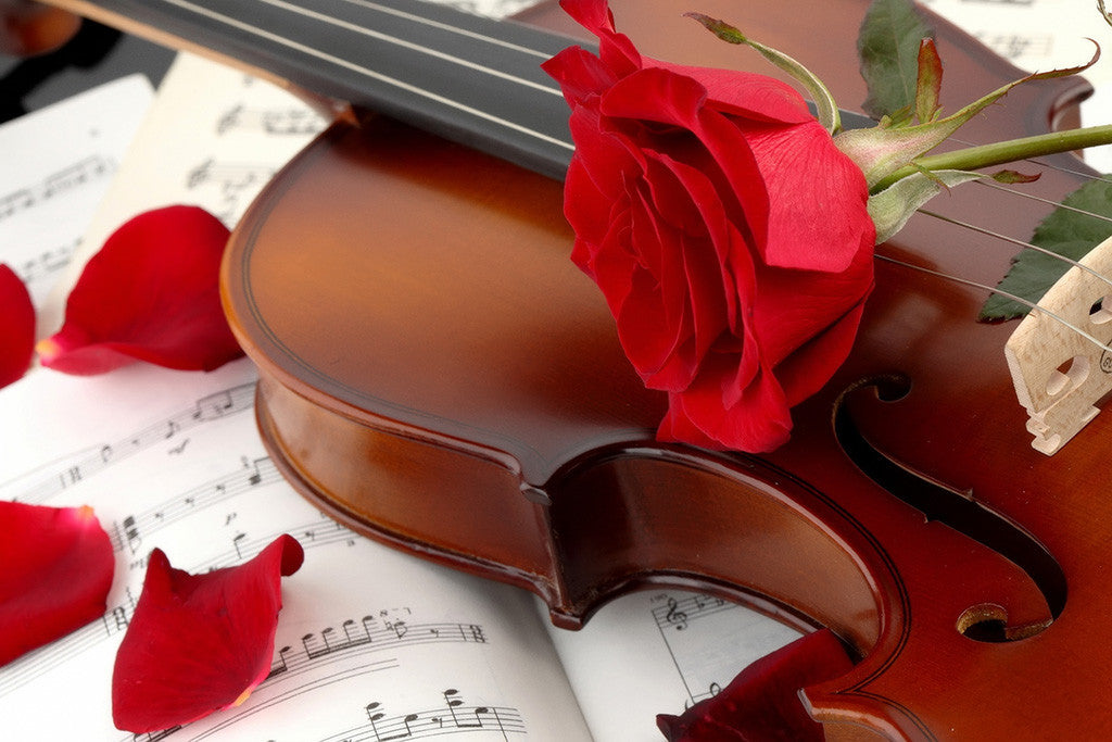 Violin Roses Poster
