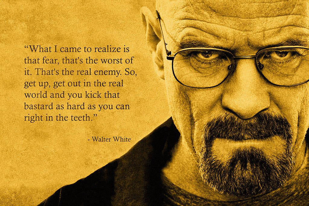 Breaking Bad Walter White Quotes Fear the Worst Poster – My Hot