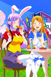 Dagashi Kashi Hotaru Saya Poster